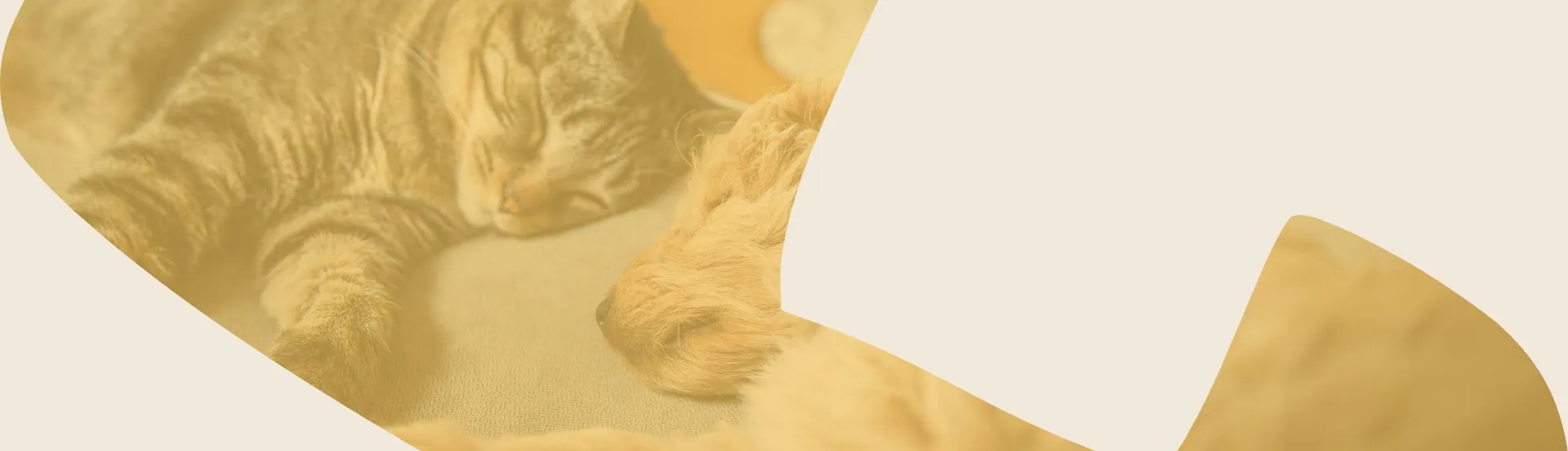 Pet Health for Life