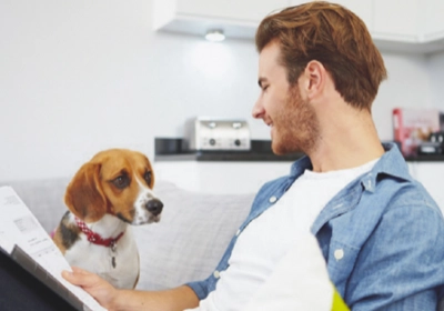 The importance of pet insurance